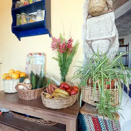 La Constanza Casa Cueva Holiday home *