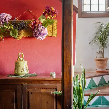 La Constanza Casa Cueva By Ash 別荘 *